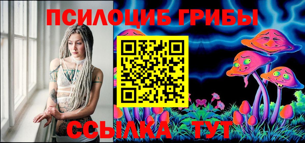 Псилоцибиновые грибы Cubensis Артём