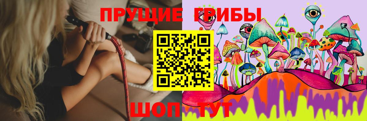 дарнет шоп  Галлюциногенные грибы Cubensis  Вход с VPN  Артём 
